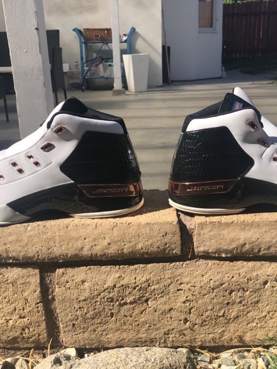 DS-Jordan 17 Retro (2016) \